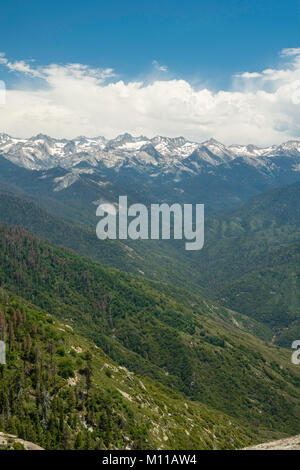 Mit Blick auf die Berge der Sierra Nevada von Moro Rock, Sequoia National Park, Tulare County, Kalifornien, USA. Stockfoto