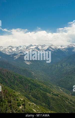 Mit Blick auf die Berge der Sierra Nevada von Moro Rock, Sequoia National Park, Tulare County, Kalifornien, USA. Stockfoto