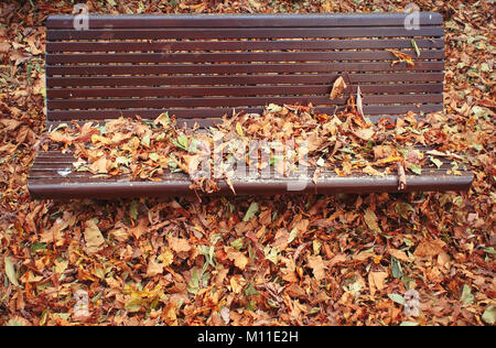 Bank im Park in einem Herbst Tag mit Laub bedeckt. Stockfoto