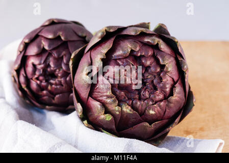 Römische Artischocke (Cynara Scolymus), Carciofi Romaneschi, Roma, Italia Stockfoto