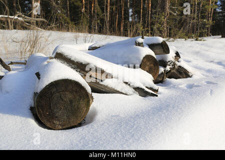 Woden Protokolle unter Schnee auf Wiese Stockfoto