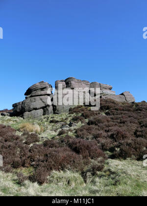 Gritstone Böschung an der Kakerlaken, Staffordshire Moorlands, Peak District National Park, Staffordshire, England, UK im April Stockfoto