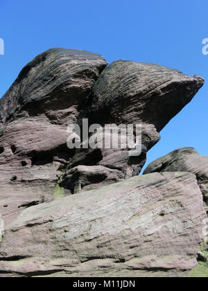 Gritstone Böschung an der Kakerlaken, Staffordshire Moorlands, Peak District National Park, Staffordshire, England, UK im April Stockfoto