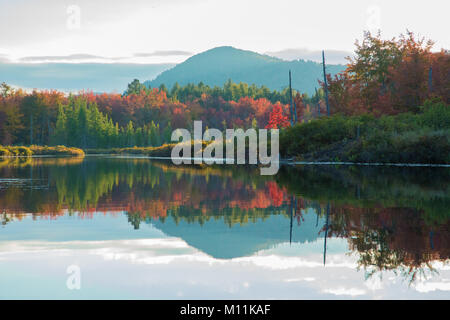 Adirondacks Strom in Spitzenzeiten Herbst Laub mit Berg in der Dämmerung • Fallen Stream, Piseco NY • 2013 Stockfoto