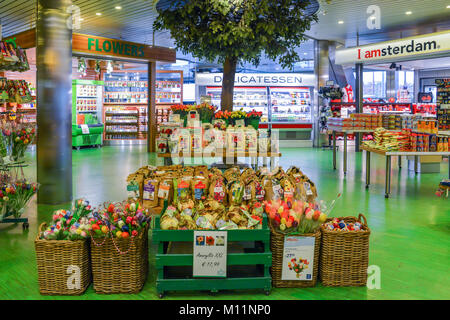 Niederländische Glühlampen und Tulpen für Verkauf am Flughafen Amsterdam Schiphol, Niederlande. Besuchern wird empfohlen, den Keukenhof besuchen tulip Sorten zu sehen Stockfoto