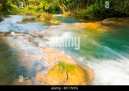 Die Kaskade von Blue Water Pools in Agua Azul Wasserfall in der Nähe von Palenque in Chiapas, Mexiko Stockfoto