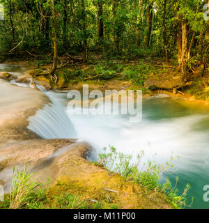 Regenwald Wasserfall in Agua Azul in der Nähe von Palenque in Chiapas, Mexiko Stockfoto