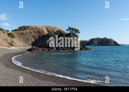 Waiheke Island, Neuseeland. Nördlichen Fuß & Oneroa Spaziergang Stockfoto