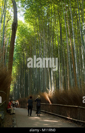 Menschen besuchen und Wandern im Bamboo Forest in Arashiyama Kyoto, Japan Stockfoto