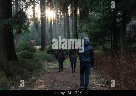 Gruppe von Menschen, die sich für einen Spaziergang im Wald mit zauberhaften Sonnenuntergang hinter den Bäumen Stockfoto