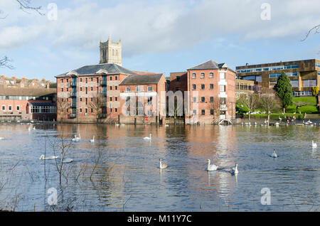 High River in Worcester führt zum Ufer des Flusses Severn Überschwemmungen Stockfoto