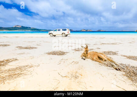 Lucky Bay Esperance Stockfoto