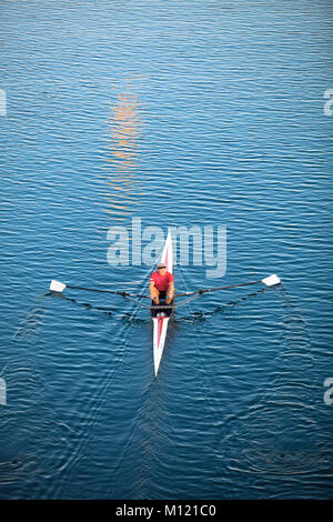 Deutschland, Köln, Boat Race Kurs am See Fuehlingen, sculler. Deutschland, Koeln, Regattastrecke bin Fuehlinger sehen, Ruderer. Stockfoto