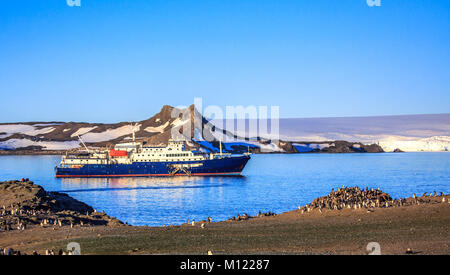 Blau antarktis Kreuzfahrt Schiff in der Lagune und Gentoo Pinguin Kolonie am Ufer des Barrientos Island, South Shetland Inseln, Antarktische Halbinsel Stockfoto