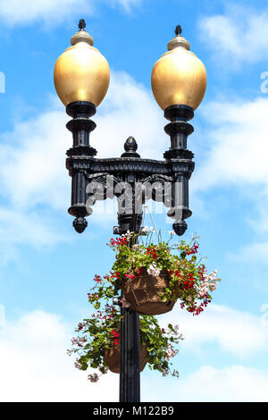 Harvard University Street Lampen mit hängenden Blumenkörben eingerichtet. Cambridge Massachusetts Nahaufnahme Detail Stockfoto