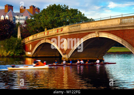 Harvard University sculling Team am frühen Morgen üben. Boot unter einer Brücke am Charles River in Cambridge, Massachusetts. Bewegungsunschärfe. Stockfoto