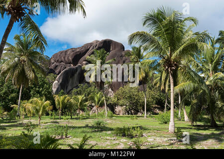 Palm Grove vor schwarzen Granitfelsen, La Digue, Seychellen Stockfoto