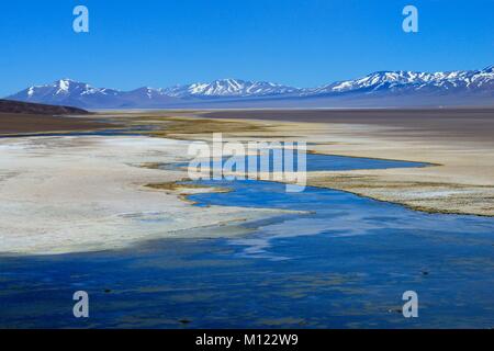 Laguna Santa Rosa mit dem Nevado Tres Cruces Vulkan, Nationalpark Nevado Tres Cruces, Región de Atacama, Chile Stockfoto