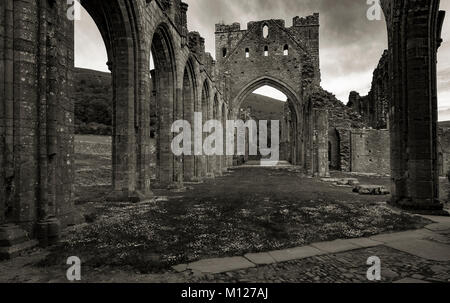 Die Ruinen von Llanthony Priory, Brecon Beacons, Wales Stockfoto