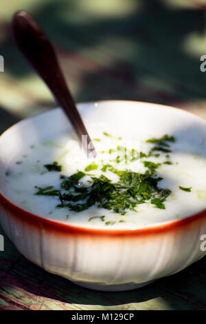 Kalte bulgarische Joghurt Suppe mit Petersilie close-up essen Hintergrund Stockfoto