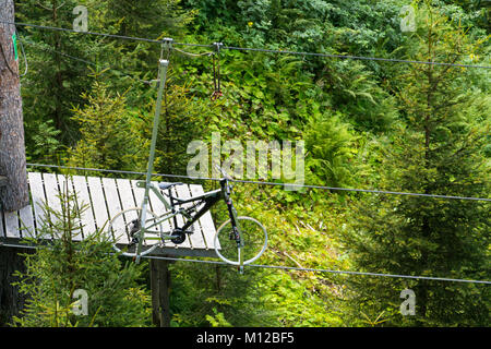 HINTERGLEMM, Österreich - 10 August: Hohe Seilpark mit Baum - top walk in Saalbach-Hinterglemm Tal am 10. August 2015 in Hinterglemm Stockfoto