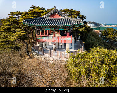 Cheonggan-ri, Toseong-myeon, Landkreis Goseong-gun, Gangwon-do, in der Nähe von Sokcho, Südkorea Stockfoto