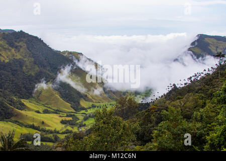 Valle de Cocora, in der Nähe von Salento, Kolumbien, Südamerika Stockfoto