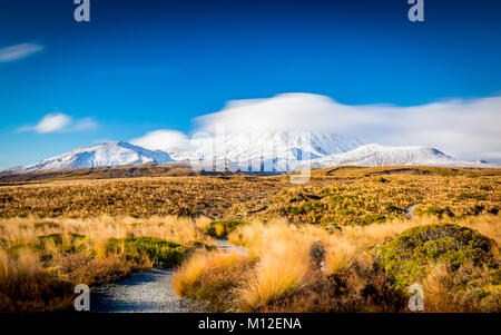 Ngauruhoe im Tongariro National Park, Neuseeland. Stockfoto