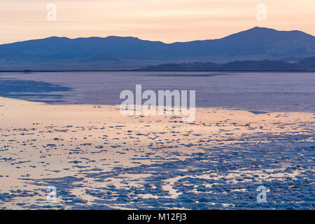 Salzkristalle und Brackwasser, in der Dämmerung auf den Bonneville Salt Flats, der BLM Land westlich der Great Salt Lake, Utah, USA Stockfoto