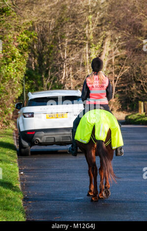 Pferd - Reiter auf einer Landstraße mit Pferd und Reiter in fluoreszierenden Hi Vis Kleidung.. Stockfoto