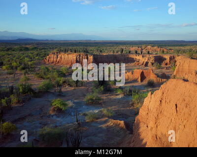 Die marslandschaft von Cuzco, die Rote Wüste, Teil der Kolumbianischen Tatacoa Wüste. Die Gegend ist eine uralte getrocknete Wald und beliebtes Reiseziel Stockfoto