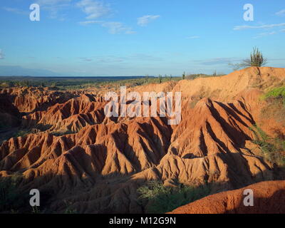 Die marslandschaft von Cuzco, die Rote Wüste, Teil der Kolumbianischen Tatacoa Wüste. Die Gegend ist eine uralte getrocknete Wald und beliebtes Reiseziel Stockfoto