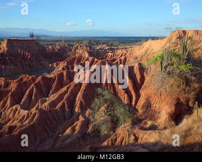 Die marslandschaft von Cuzco, die Rote Wüste, Teil der Kolumbianischen Tatacoa Wüste. Die Gegend ist eine uralte getrocknete Wald und beliebtes Reiseziel Stockfoto