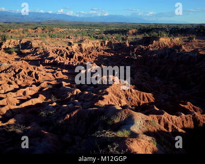 Die marslandschaft von Cuzco, die Rote Wüste, Teil der Kolumbianischen Tatacoa Wüste. Die Gegend ist eine uralte getrocknete Wald und beliebtes Reiseziel Stockfoto