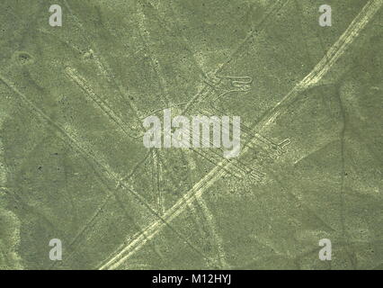 Die Nazca-linien in Peru, Hier sehen Sie den Hund Stockfoto