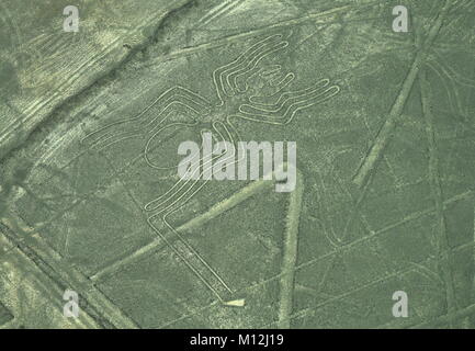 Die Nazca-linien in Peru, hier sehen Sie die Spinne Stockfoto