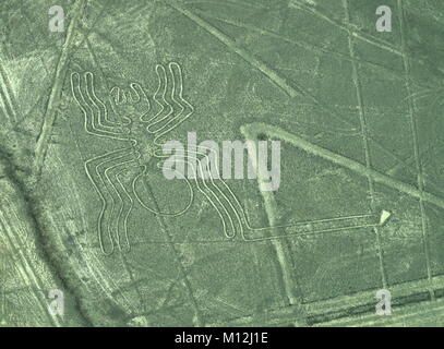 Die Nazca-linien in Peru, hier sehen Sie die Spinne Stockfoto