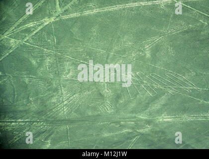 Die Nazca-linien in Peru, hier können Sie die Condor Stockfoto