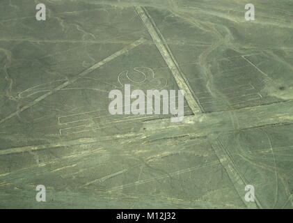 Die Nazca-linien in Peru, hier können Sie die Parrot Stockfoto