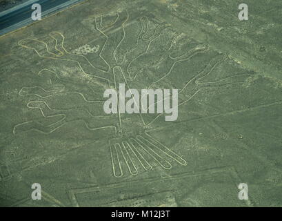 Die Nazca-linien in Peru, hier können Sie den Baum Stockfoto