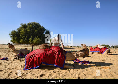 Laden Kamel ein Kamel Safari, Wüste Thar, Rajasthan, Indien Stockfoto