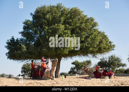 Laden ein Kamel für Trekking in der Wüste Thar, Rajasthan, Indien Stockfoto