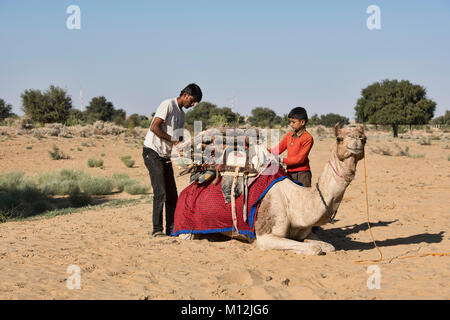 Laden ein Kamel für Trekking in der Wüste Thar, Rajasthan, Indien Stockfoto