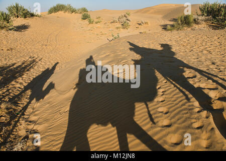 Kamel Schatten in der Wüste Thar, Rajasthan, Indien Stockfoto