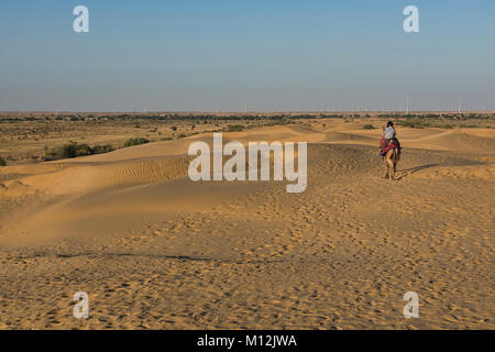 Kameltrekking in der Wüste Thar, Rajasthan, Indien Stockfoto