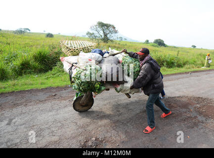 Chukudu ist eine traditionelle Holz- Fahrrad für den Transport von Gütern im Osten der Demokratischen Republik Kongo eingesetzt. Stockfoto