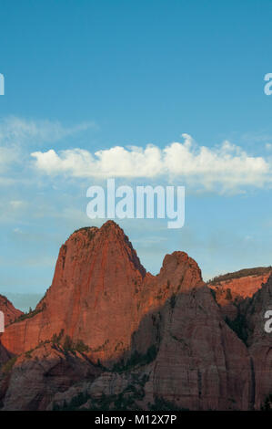 Berggipfel Kolob Canyon, der Zion National Park, Utah, bei Sonnenuntergang. Stockfoto