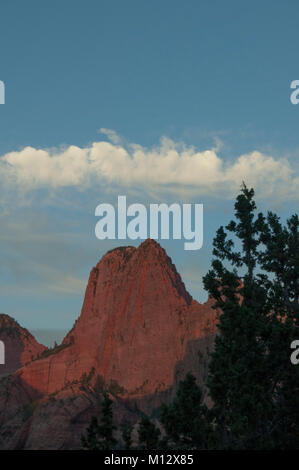 Berggipfel Kolob Canyon, der Zion National Park, Utah, bei Sonnenuntergang. Stockfoto