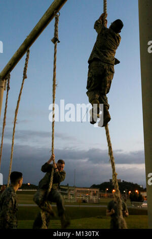 Marines mit Combat Logistik Bataillon 31, 31 Marine Expeditionary Unit, Teilnahme an einem Hindernis Kurs während Lance Corporal Seminar in Camp Hansen, Okinawa, Japan, Jan. 25, 2017 Hauptgefreiter Seminar ist eine professionelle militärische Ausbildung Programm, entworfen, um auf Peer geführte Diskussion geführt durch Unteroffiziere, Ethik gelehrt, während Sie für die Ausbildung von Rekruten wurden zu verstärken. Wie das Marine Corps' nur kontinuierlich vorwärts - bereitgestellt MEU, den 31 MEU bietet eine flexible Kraft bereit, eine breite Palette von militärischen Operationen auszuführen. (U.S. Marine Corps Stockfoto