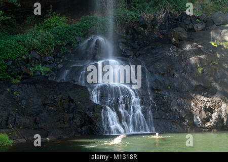 Baden im Wasserfall Tamarind Wasserfälle oder Les 7 Kaskaden bei Henrietta, Mauritius, Afrika | Schwimmen im Tamarind fällt oder Les 7 Kaskaden, Henrietta, M Stockfoto